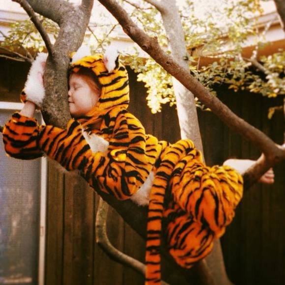 Meet your Posher, Clara - Picture 1 of 1